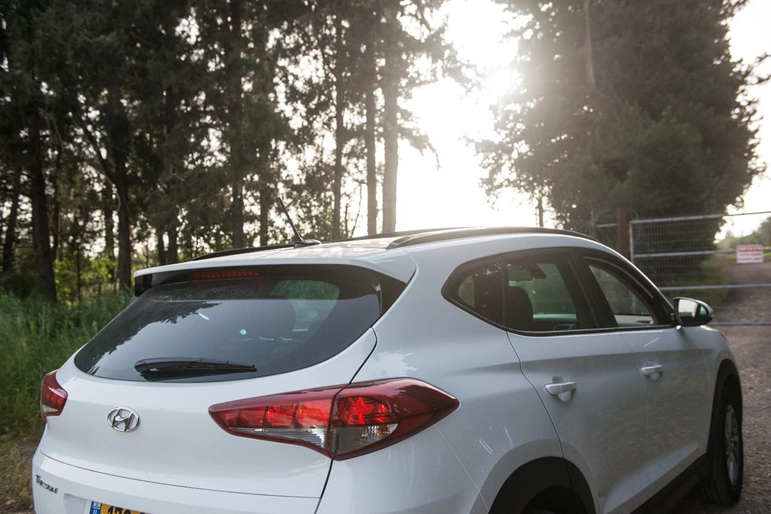 1596151-by Benny Doutsh-86.jpg