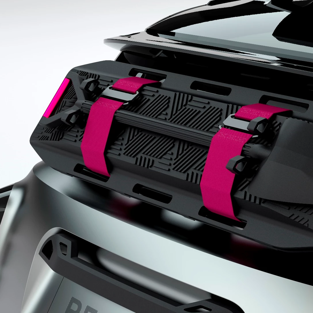 1669347-Renault 4EVER Trophy show car (2).jpg