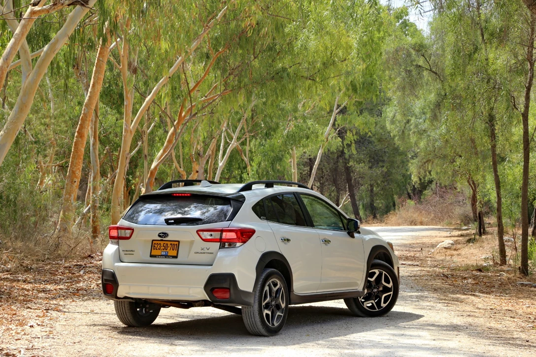 1622896-rotemi120919xv (146).JPG