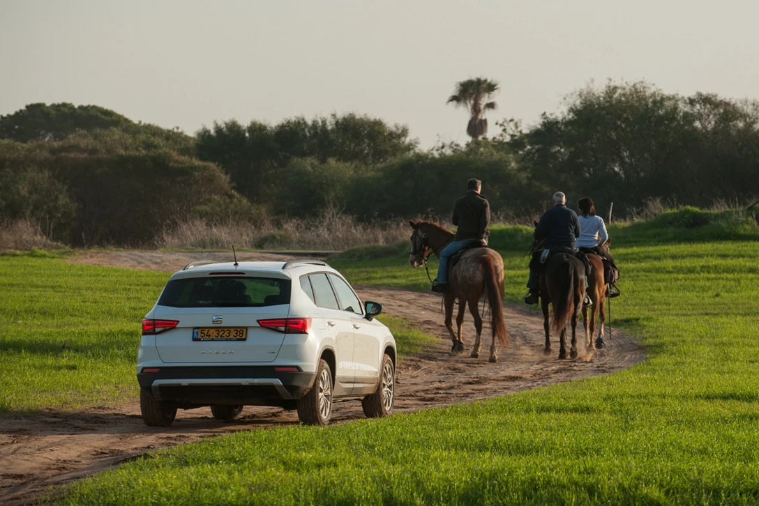 1584080-by benny doutsh-23 crop.jpg