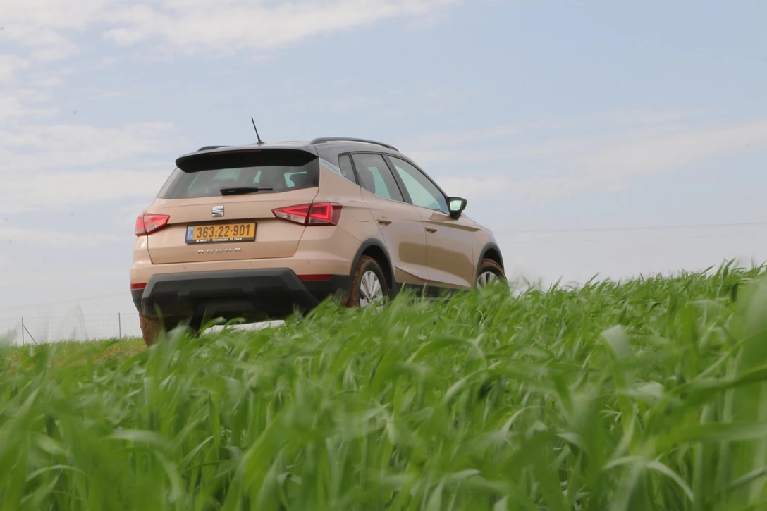 1594160-IMG_9771 small.jpg