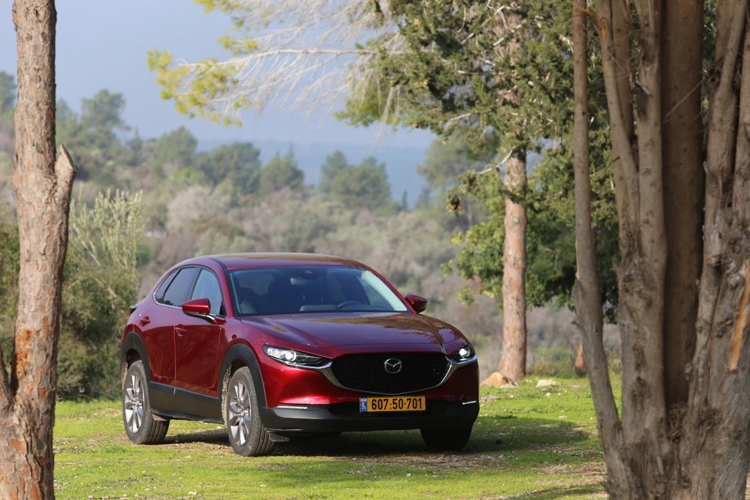 1629378-IMG_9301 - Copy.JPG