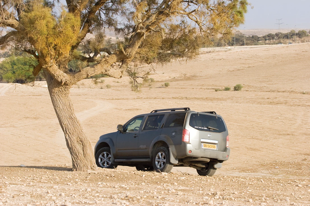 1676709-mashve big 07.jpg