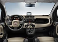 1690024-Fiat-Panda-2018-05.jpg