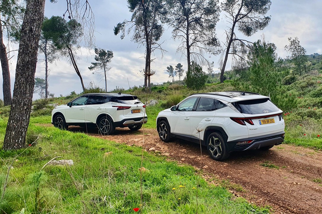 1659018-QASHTUSC - 3.jpeg