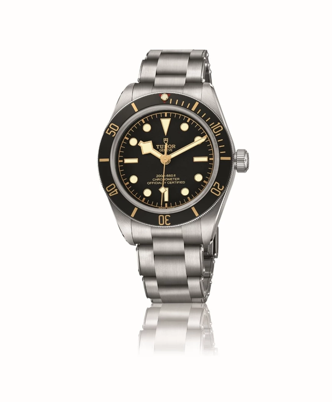 1631677-טודור ביי.jpg