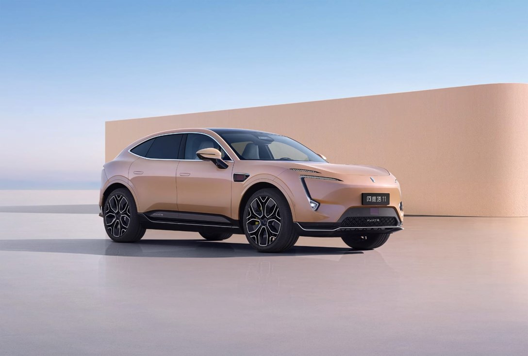 WhatsApp Image 2024-12-04 at 16.23.11.jpeg