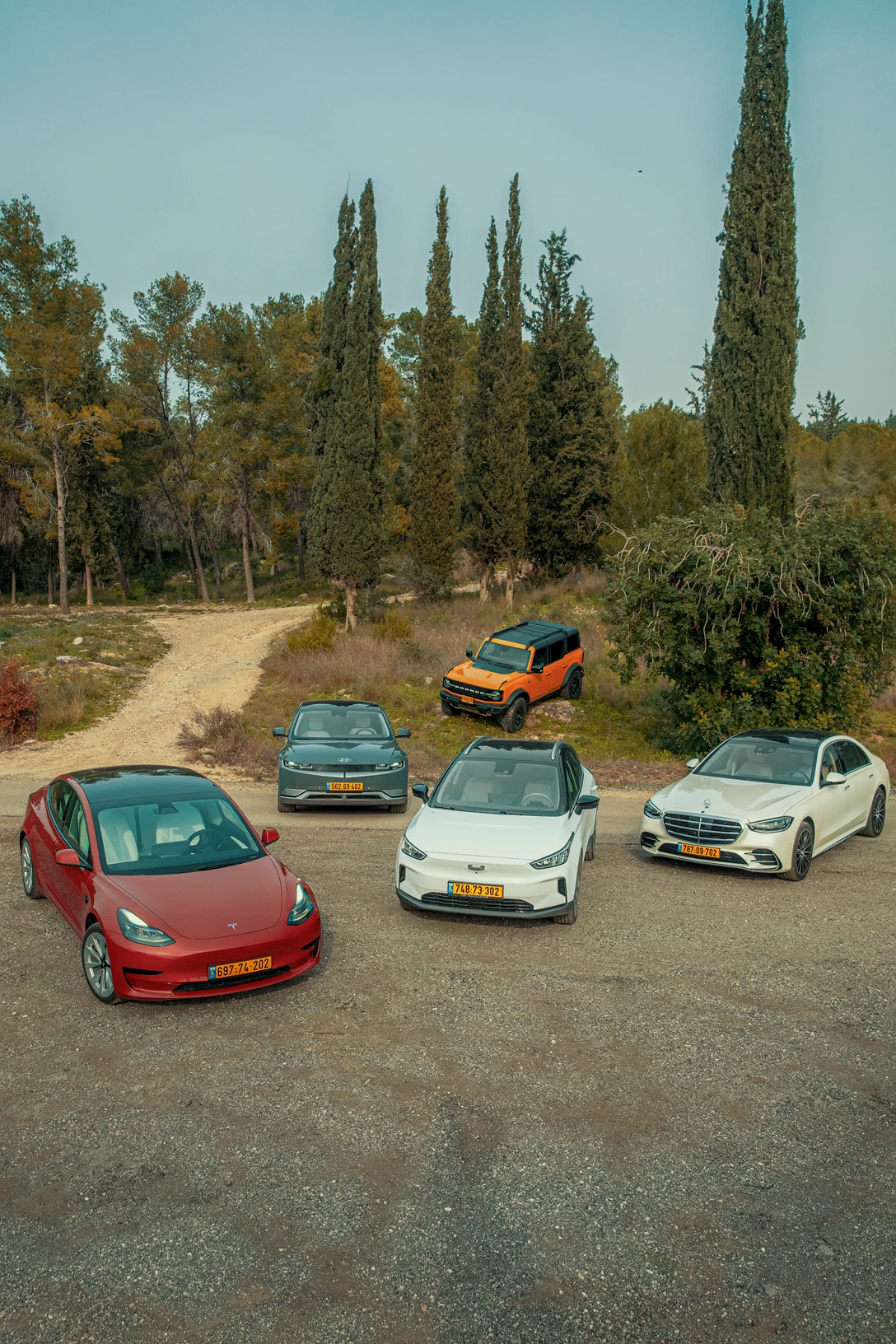 1658120-DSC08498 copy.jpg