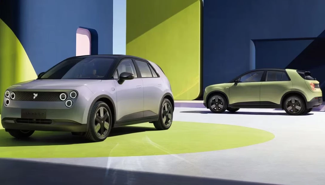 1705365-צילום מסך 2024-12-24 105822.jpg