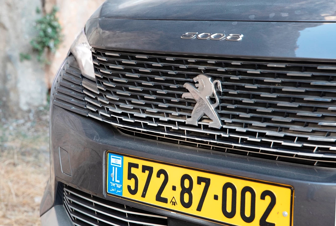 1654071-פיגו 50080J6A9178.jpg