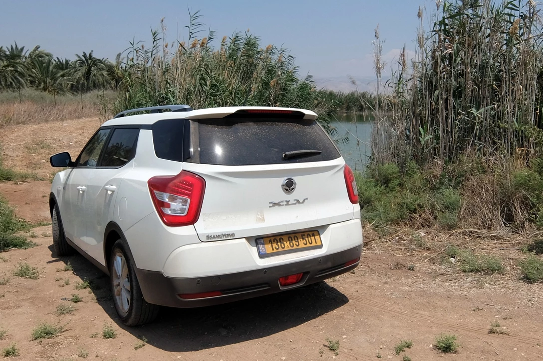 1597006-סאנגיונג טיבולי XLV (9).JPG