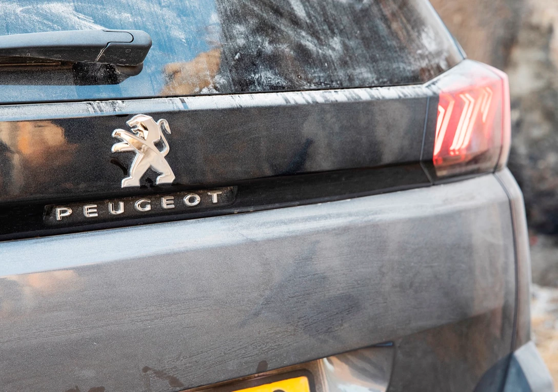 1654072-פיגו 50080J6A9189.jpg