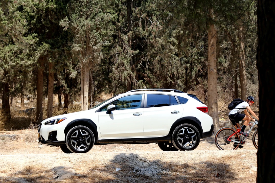 1622905-rotemi120919xv (34).JPG