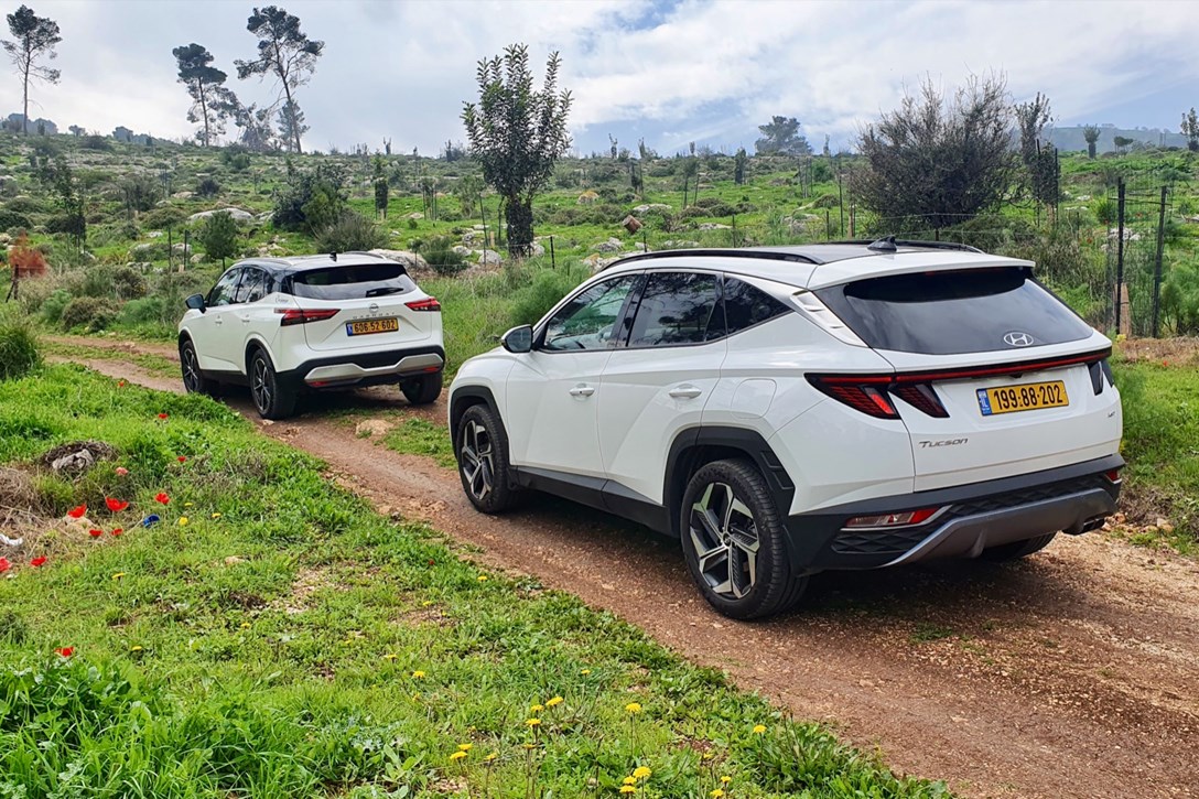 1658994-QASHTUSC - 1.jpeg