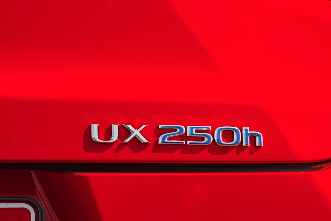 1602808-09-לקסוס UX השקה 2018 (26).jpg