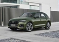 1636694-Audi_Q5-2020-e.jpg
