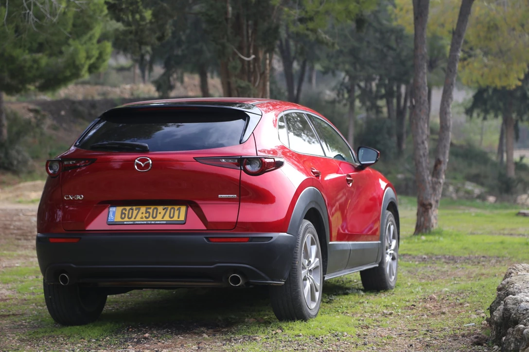 1629380-IMG_9325 - Copy.JPG