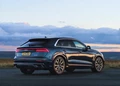 1662133-Audi-Q8-2022-02.jpg