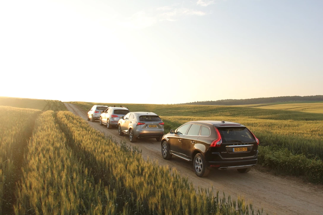 1676352-IMG_8603 2.JPG