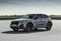 1653965-2021_audi_q2_2_1600x1200.jpg