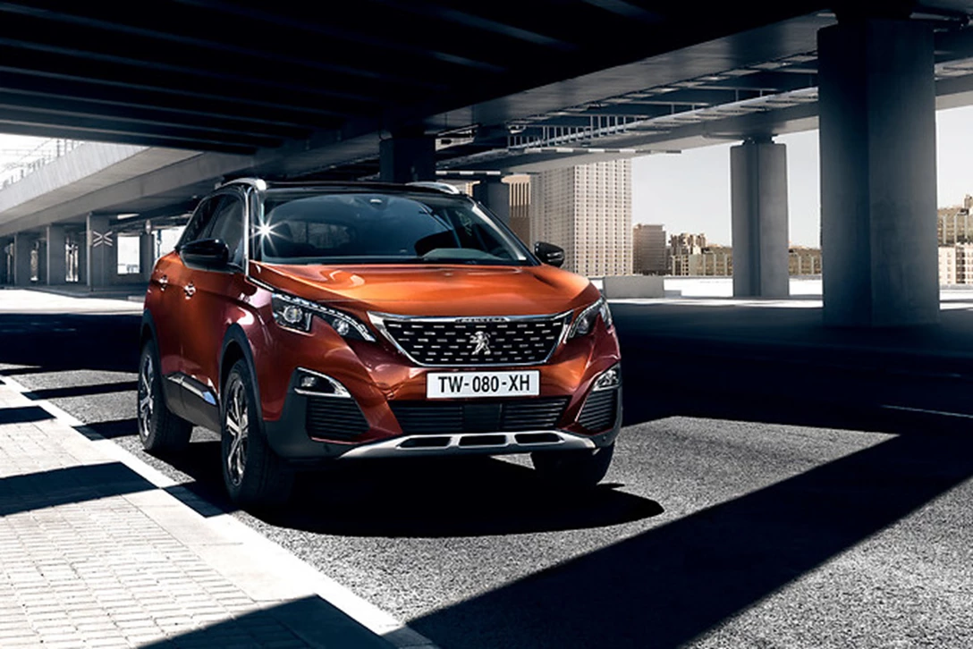 1608335-3008 מנוע בנזין 12 (6).jpg