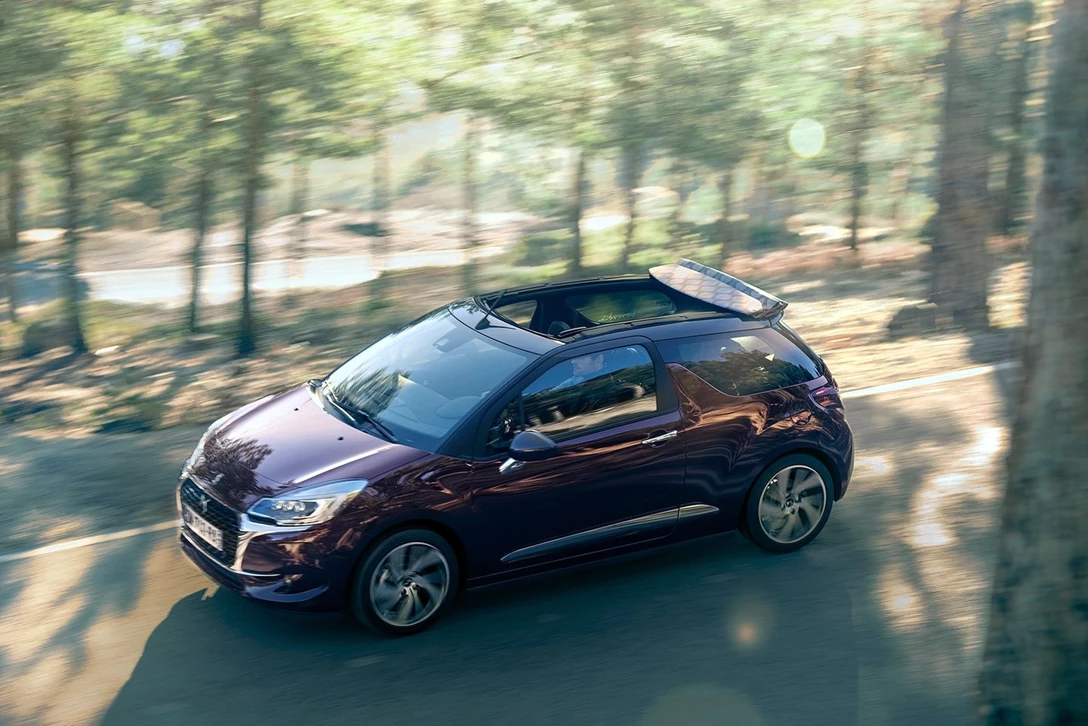 1594575-DS רוצה לגדול בישראל (3).jpg