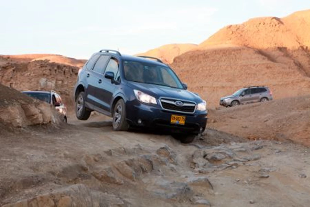 1589576-Subaru Forester 2013_toplberg_01.jpg