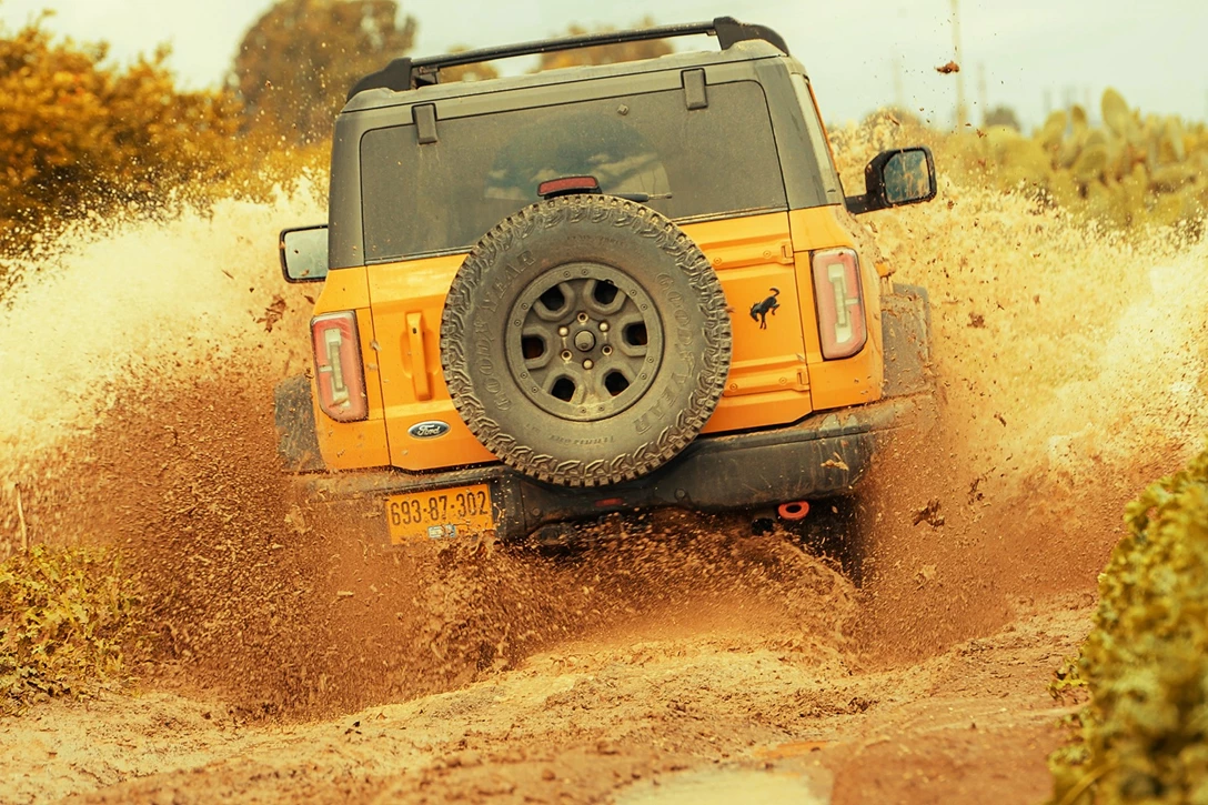 1658691-זוג 2.jpg