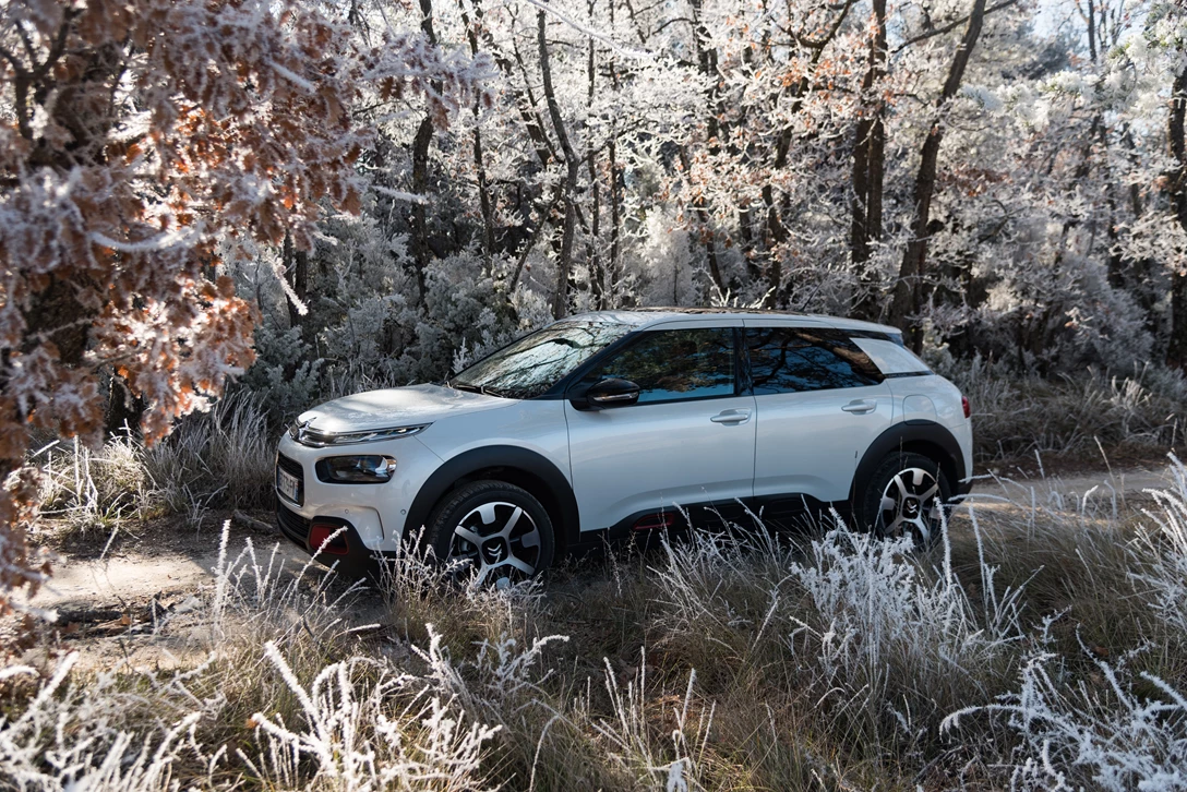 1591401-CL 18.005.127.jpg