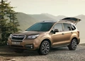 1639894-Subaru-Forester-2017-05.jpg