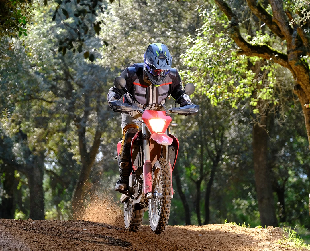 1663035-צילום פתיחה.JPG