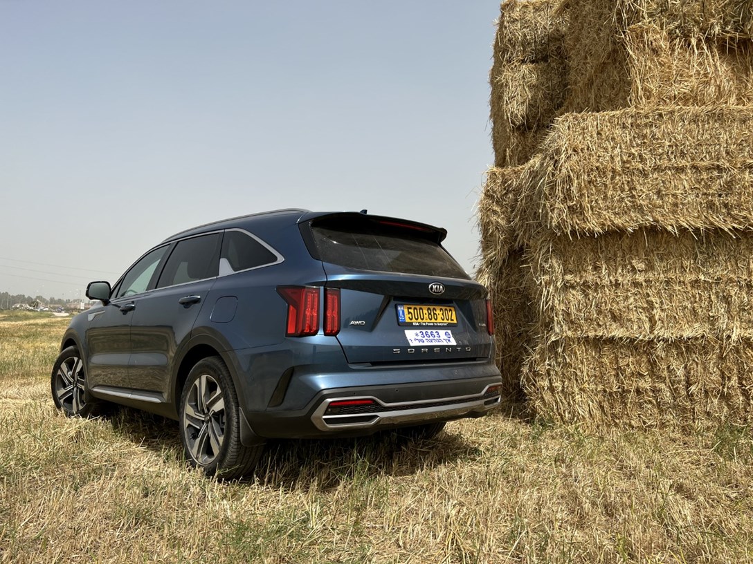 1662087-SORENTO - 25-min.jpeg