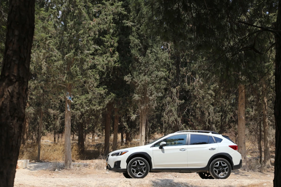 1622889-rotemi120919xv (42).JPG