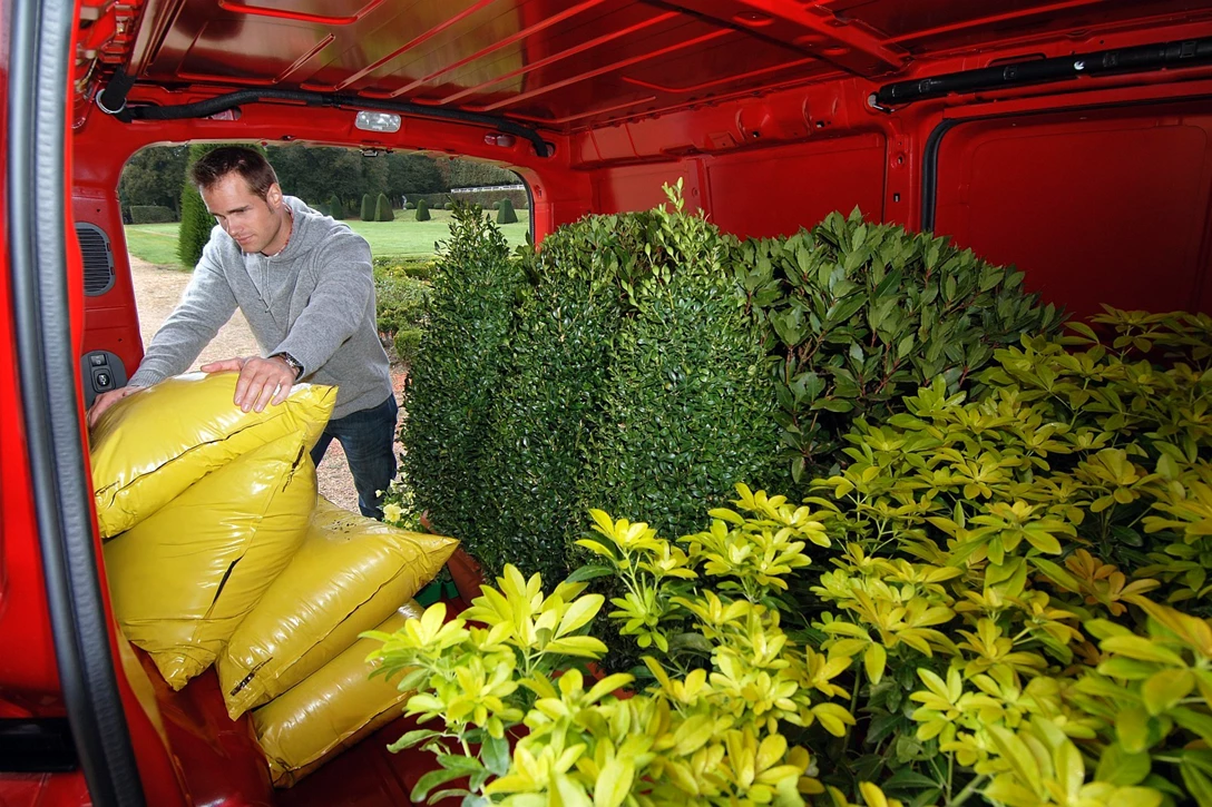 סיטרואן ג'אמפי