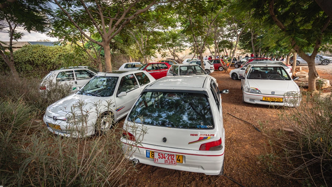 1650967-DSC04351 (2).jpg