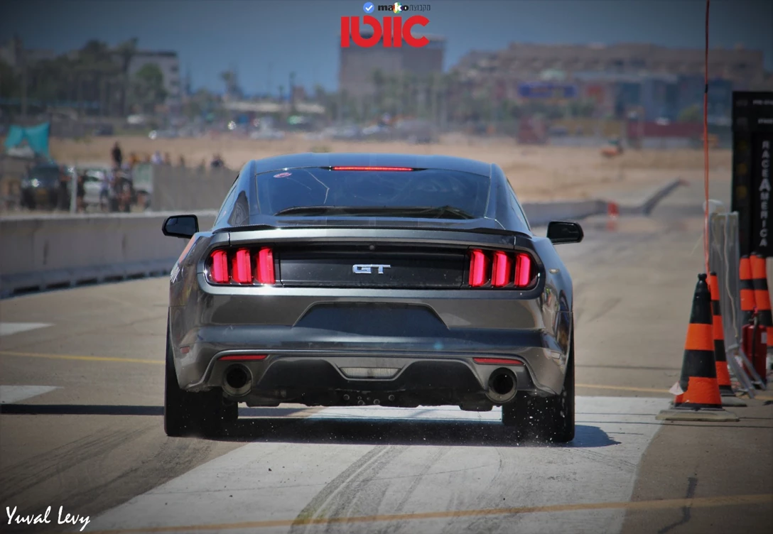 1644743-IMG_4619 (2).JPG