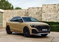 1697886-Audi-Q8-2024-01.jpg