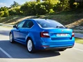 1609236-Skoda-Octavia 6.jpg
