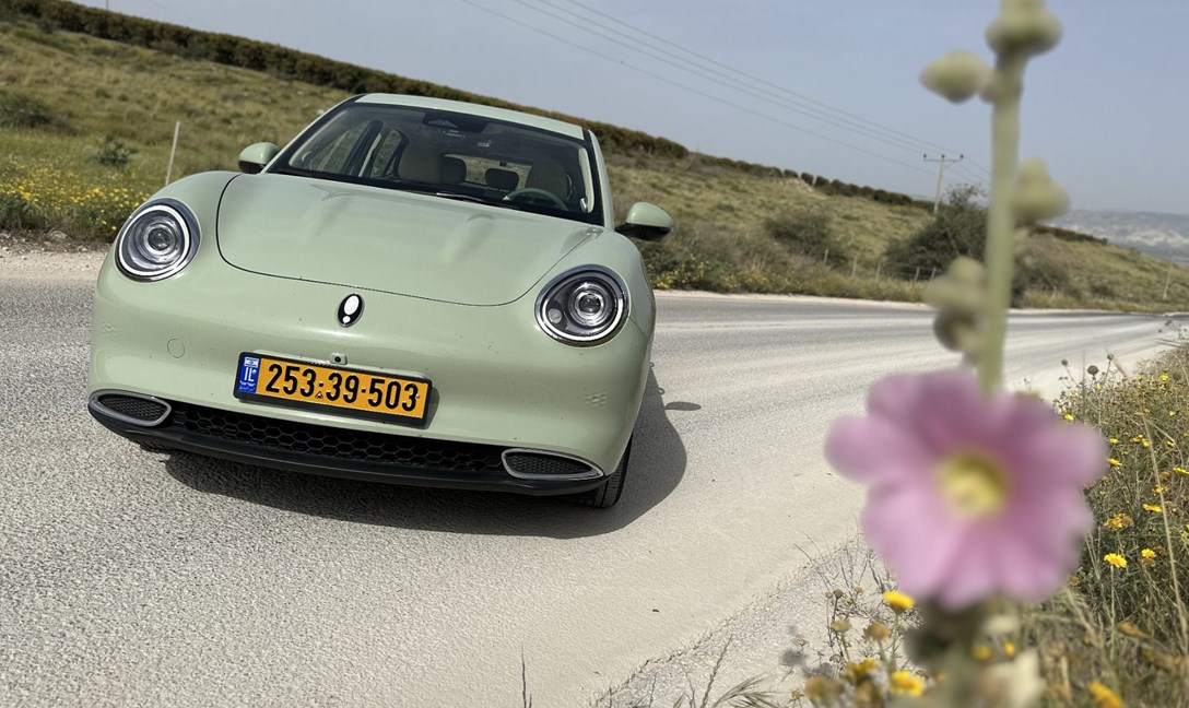 1681488-ORA300PRO - 58-min.jpeg