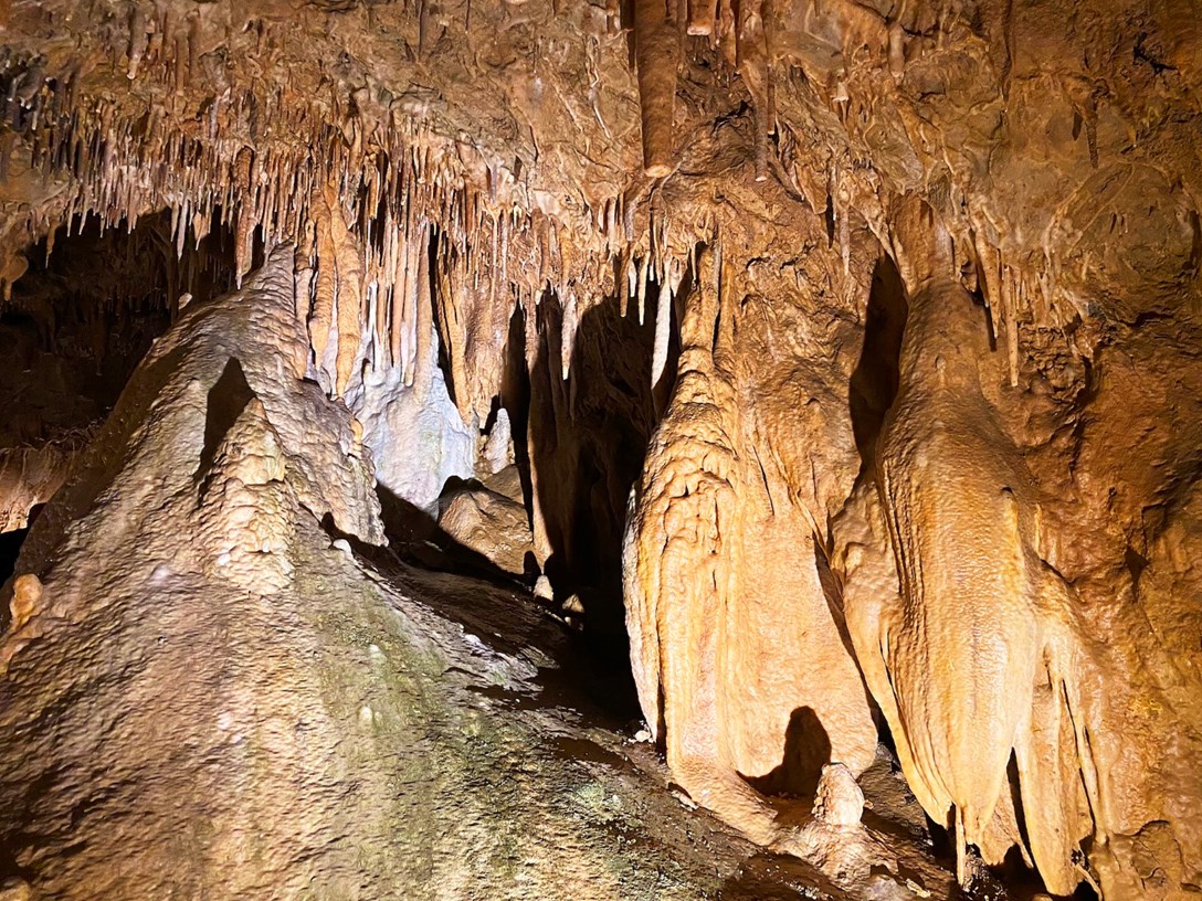 1691110-LOURDES 2.jpeg