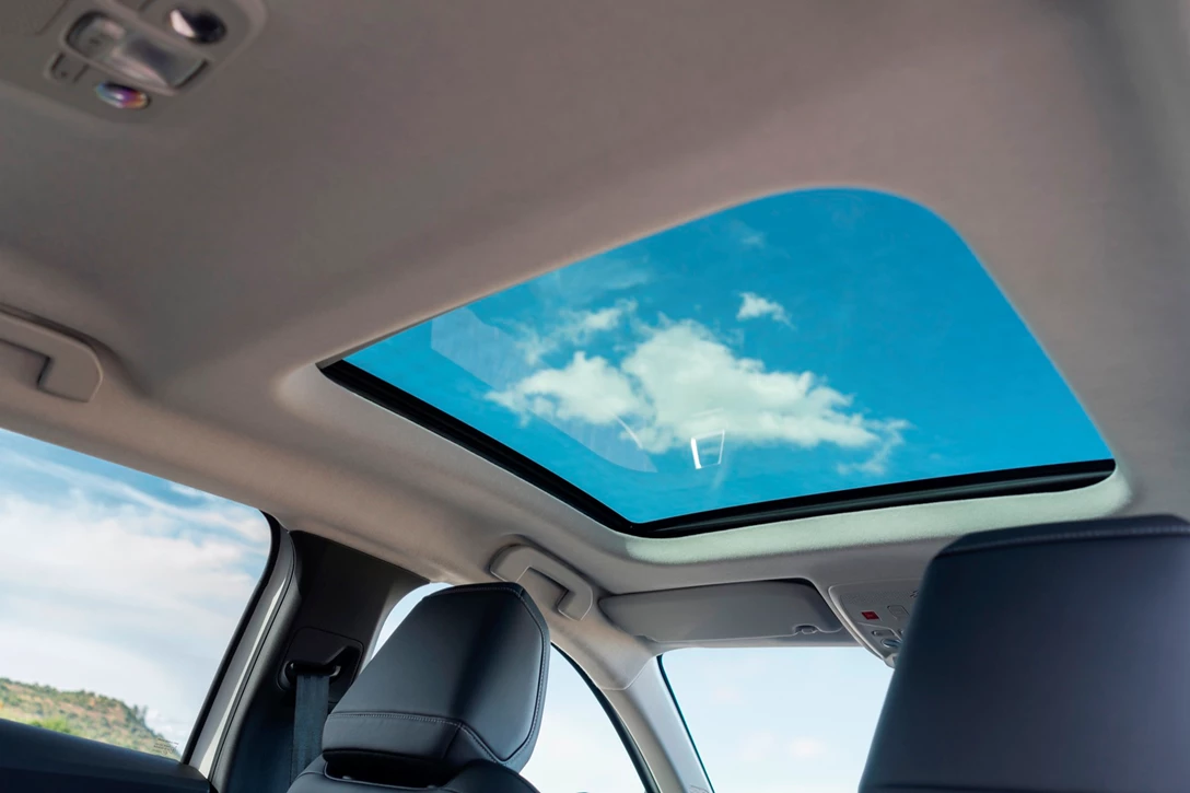 1662635-CL 22.012.024.jpg