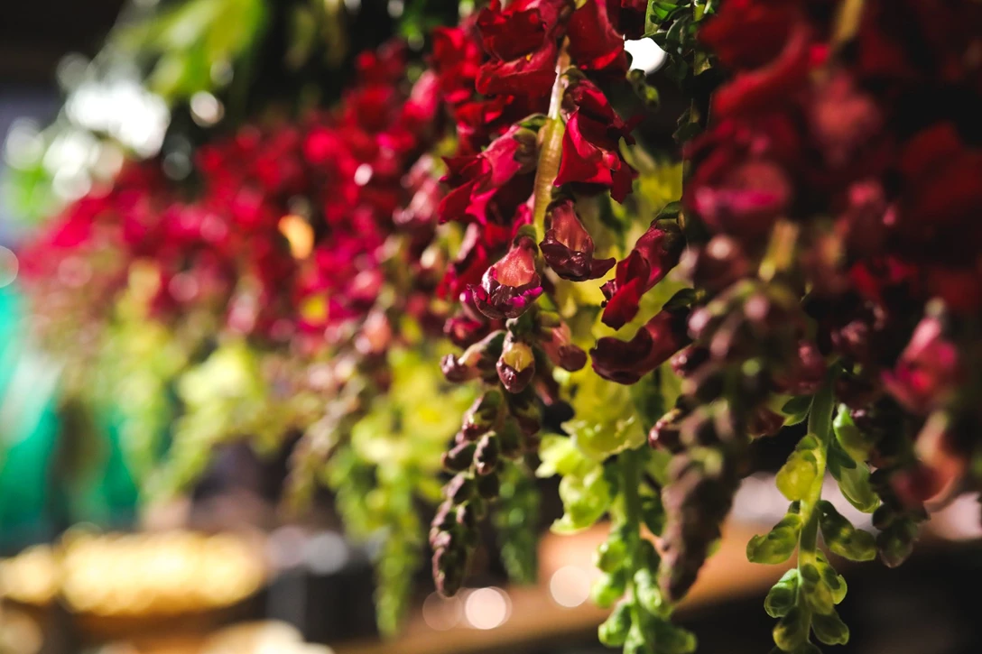 1611774-  (86 of 127).jpg