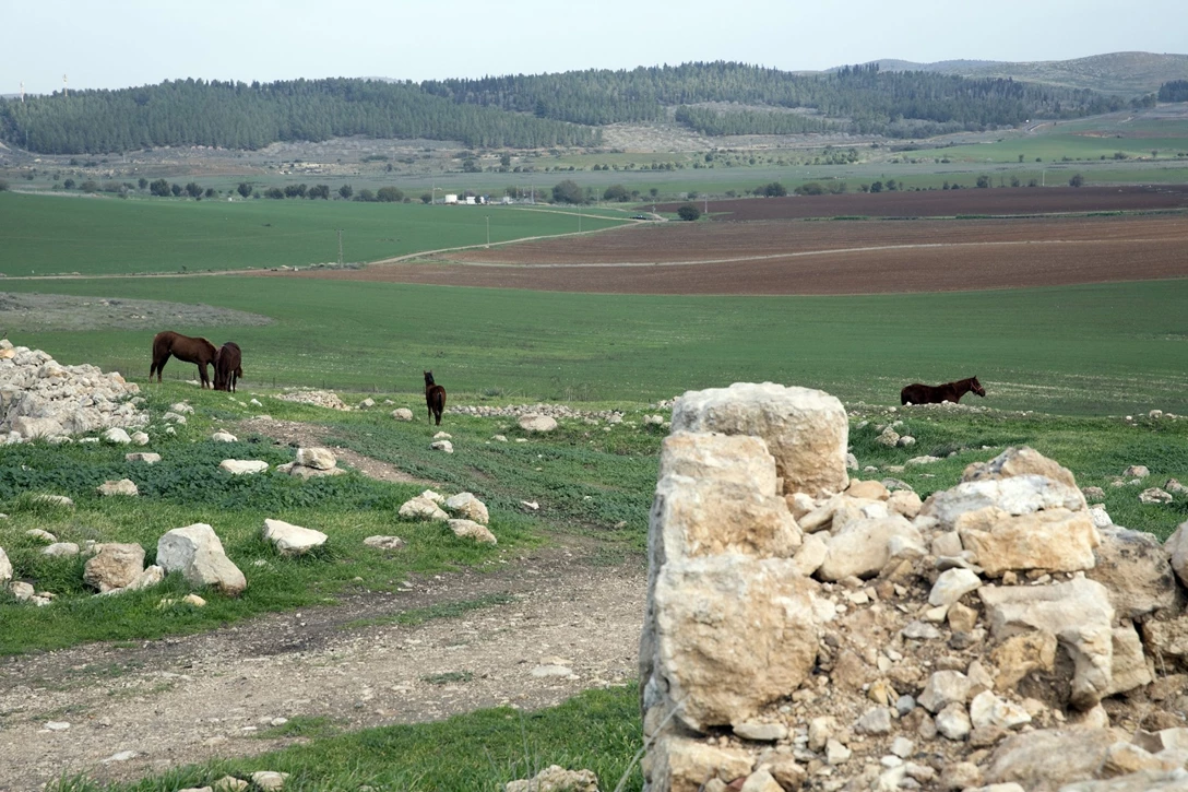 1615697-גדולה ב כפולה 1.jpg