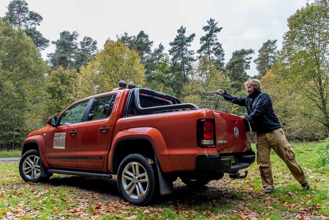פולקסווגן אמארוק מתיחת פנים