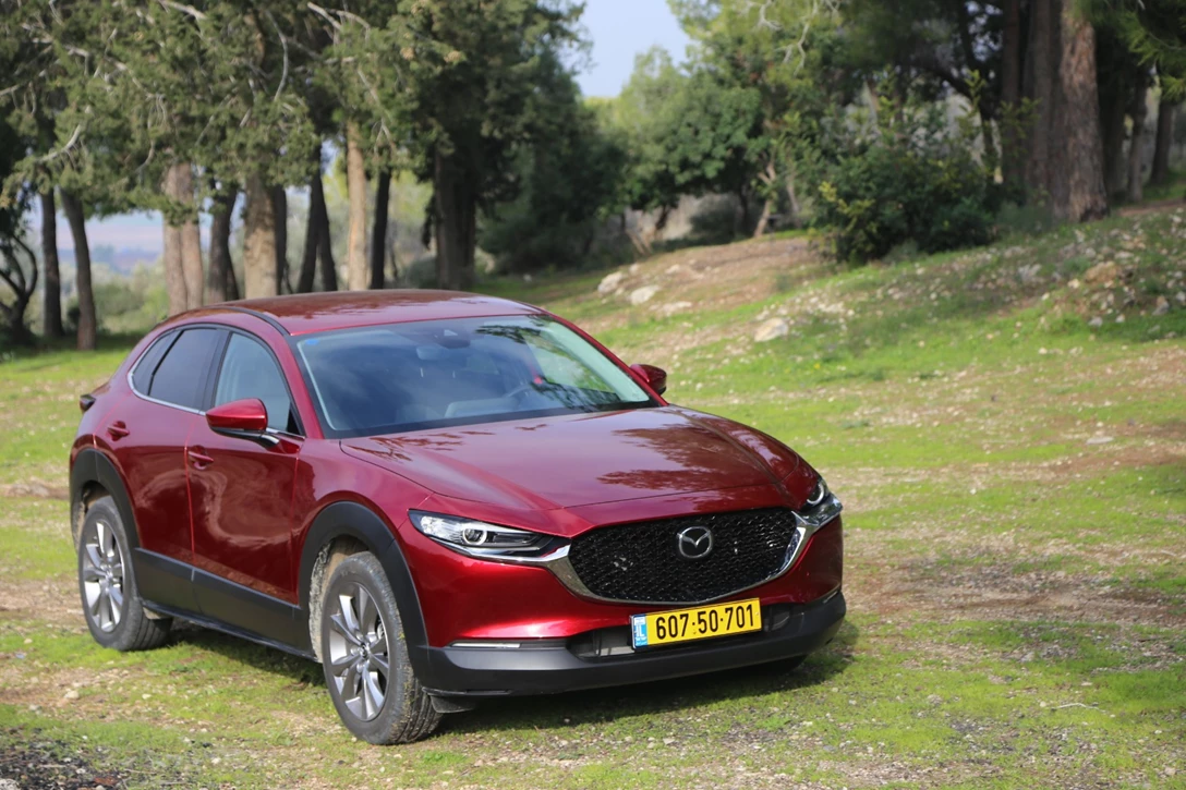 1629381-IMG_9327 - Copy.JPG