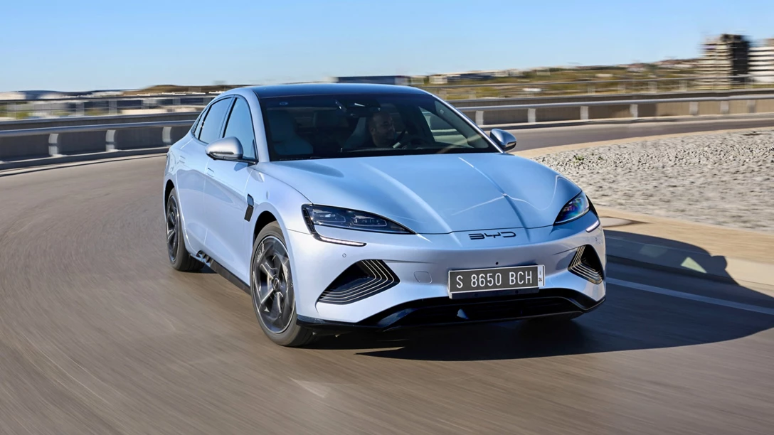 1681160-Seal City 3-min.jpg