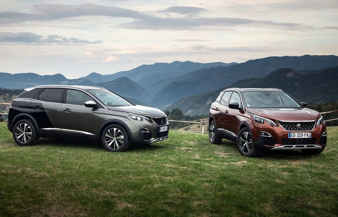 1608332-3008 מנוע בנזין 12 (1).jpg