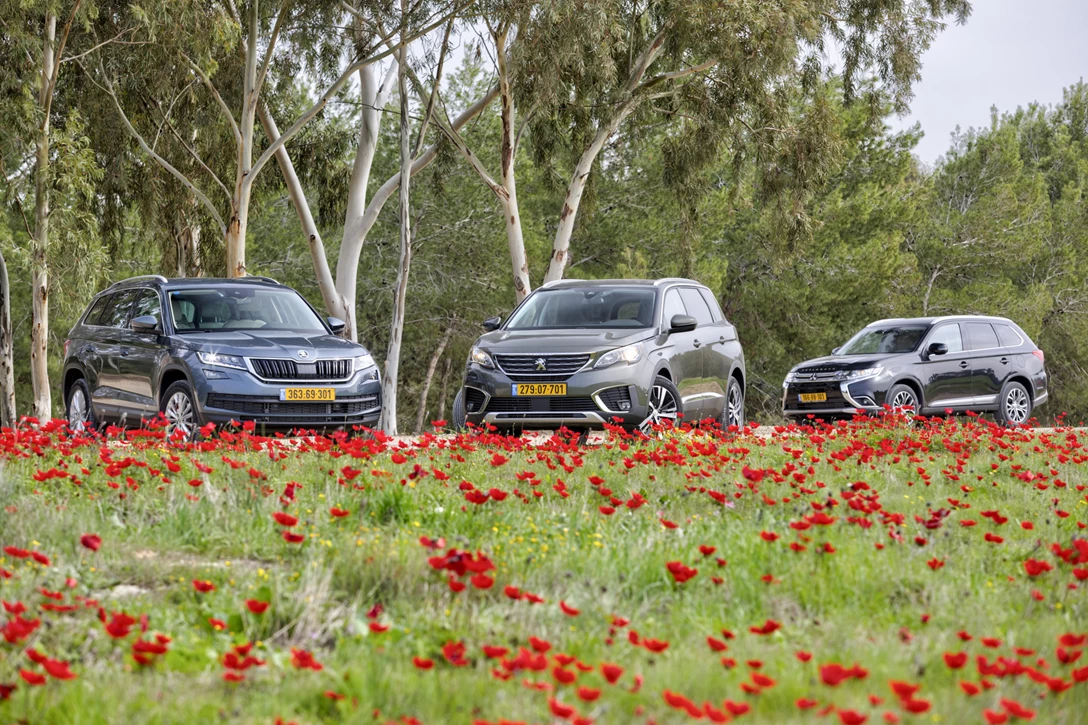 1598548-השוואתי 7 מושבים (14) .jpg