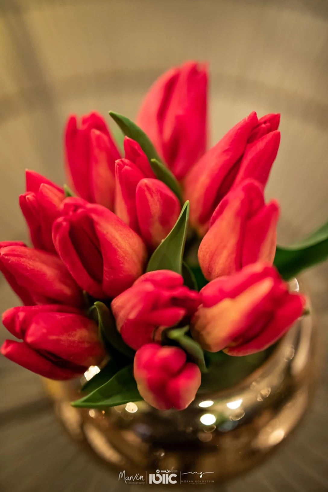 1630008-2020-02-10 AVIGDOR-36.jpg