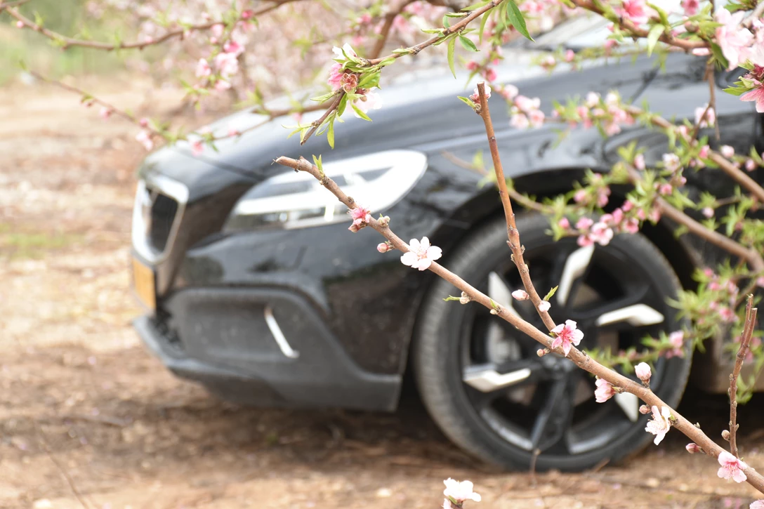 1593965-וולוו V40 קרוס קאנטרי מבחן דרכים  (13).JPG